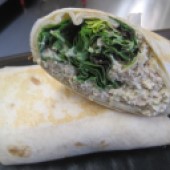 Gourmet Tuna Wrap
